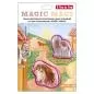 Preview: Step by Step MAGIC MAGS "Horse Lima"
