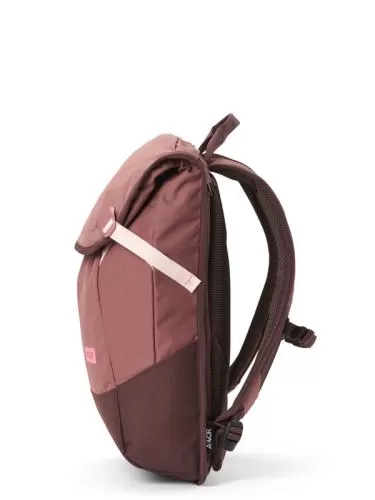 Aevor Daypack Backpack - raw ruby