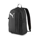 Puma teamGOAL 23 Backpack with Ball Net